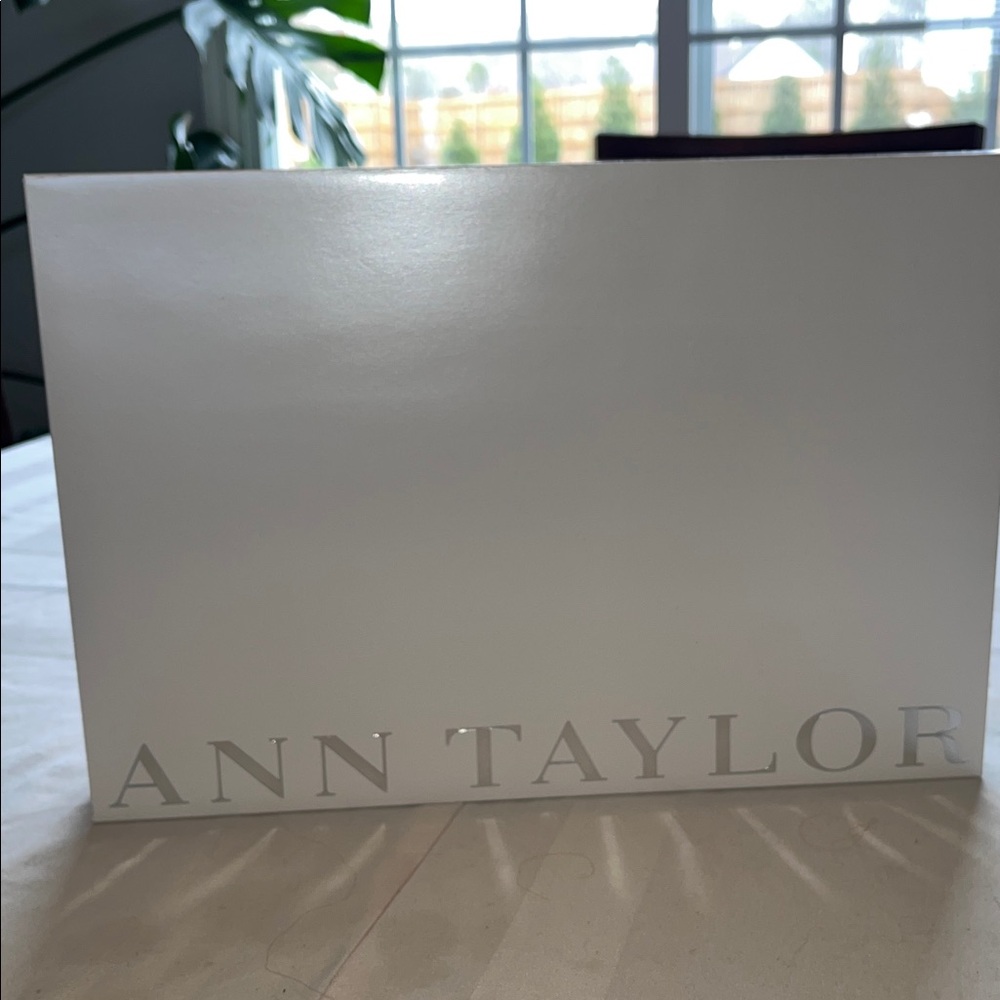 Ann Taylor Gift Shopping Box